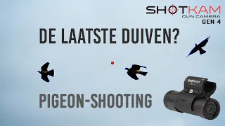 De laatste duiven op ShotKam? [Pigeon-shooting]