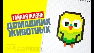 ВАУ!! ПОПУГАЙЧИК ГОРОШЕК рисуем по клеточкам (THE SECRET LIFE OF PETS)PIXEL ART