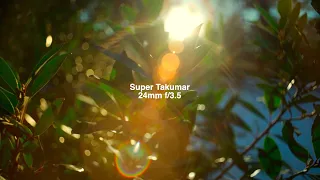 Super Takumar 24mm f/3.5 | Sony A7III