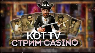 #kottvbonus #казино стрим казино онлайн прямой эфир stelario