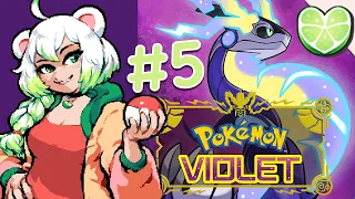 I would die for Dachsbun |  Pokémon Violet Part 5