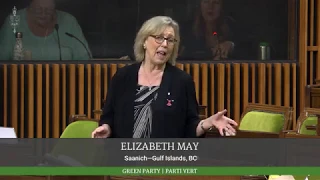 Elizabeth May commente sur la réponse économique du Canada à la pandémie de COVID-19