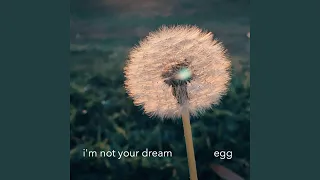 i'm not your dream