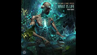 Volcano & Sonic Species - What If Life (IKØN Remix)