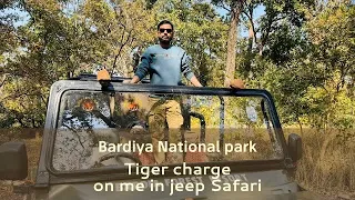 Bardiya National park tiger charge on jeep safari #tiger #wildlife #bardiyanationalpark