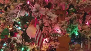 11/24/17 Hyperlapse of our tree