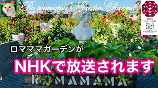 【NHK】５月７日にロマママガーデンがテレビで放送されます　#nhk #バラ庭