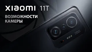 Xiaomi 11T - Возможности камеры | Обзор от Алины Cripsy