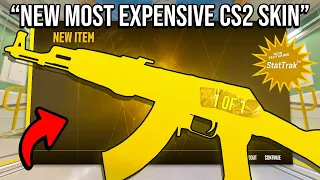 THIS IS THE NEW MOST EXPENSIVE CS2 SKIN?