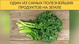 ПОЛЬЗА КАПУСТЫ КАЛЕ