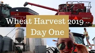 First Day of Wheat Harvest 2019 (WE HIRED OUR KIDS!): Vlog 153