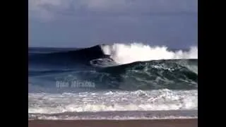 The Cast Surf Movie