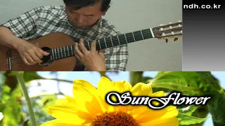 Sunflower - Classical Guitar - Played,-DONG HWAN_ NOH