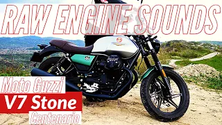 RAW Engine Sounds : 2021 Moto Guzzi V7 Stone Centenario + Stock Exhaust Soundcheck