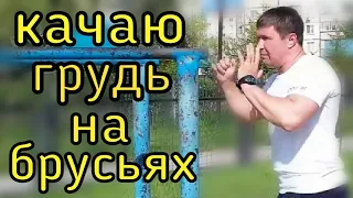 КАЧАЮ ГРУДЬ НА БРУСЬЯХ / советы