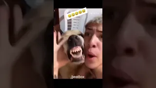 beatbox with dog 🤣🤣🔥🔥🔥