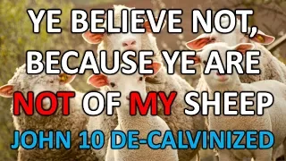 Why John 10 Does Not Support Calvinism