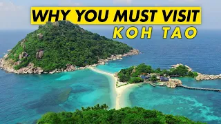 Why You MUST VISIT Koh Tao (Best of Thailand)