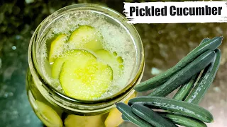 Make Your Probiotic At Home | Fermented Cucumber | Pickled Cucumber Recipe