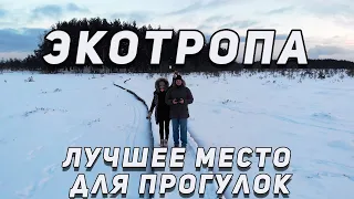 Экотропа / Сестрорецкое болото зимой / Лучшее место для прогулок