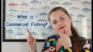 What is Commercial Fishing? How we sustainably harvest seafood in the United States