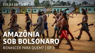 Desmate, invasões e garimpo se alastram por terras indígenas | AMAZÔNIA SOB BOLSONARO