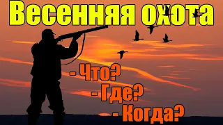 ВСЁ о весенней охоте! От А до Я!