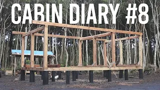 Off Grid Cabin #8 | Building the Cabin Wall Framing (Part 2)