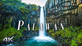 Palawan ( Philippines ) 4K - Scenic Relaxation Film With Calming Music