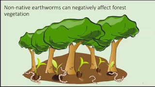 Impacts of Jumping Worms