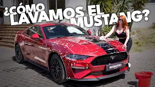 Cómo lavamos el Ford MUSTANG GT