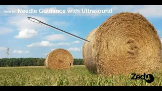 How to: Needle Guidance with Ultrasound - Zedu POCUS Coaching Corner - 3 September 2020