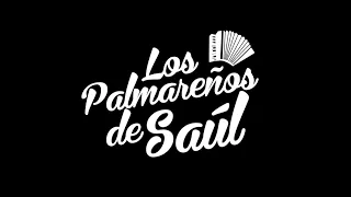 Los Palmareños De Saul en vivo