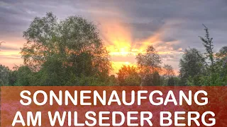 Sonnenaufgang Wilseder Berg Lüneburger Heide #shorts