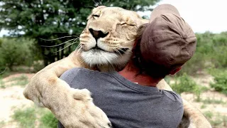 Tiere, die Menschen gerettet haben