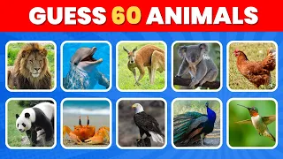 Guess 60 Animals in 5 Seconds | Easy, Medium, Hard, Impossible