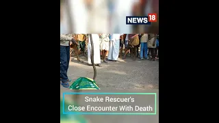 Snake Rescuer Bitten By King Cobra While Trying To Catch It | #Shorts | Snake Viral Video|CNN News18