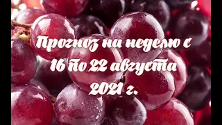 Прогноз на неделю с 16 по 22 августа 2021 года.