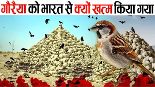 गौरैया को भारत से क्यों ख़त्म किया जा रहा है !! why sparrows are disappearing in hindi