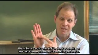 Dan Siegel, M.D - Discussing the Science of Mindfulness [with Subtitle]