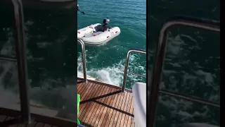 Shark versus True Kit Navigator