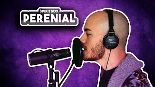 Spiritbox - Perennial | Vocal Cover by Victor Borba