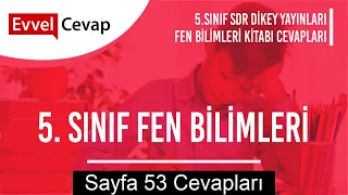 5. Sınıf Fen Bilimleri SDR Dikey Yayıncılık Ders Kitabı Cevapları Sayfa 53