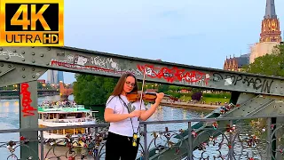 🇩🇪 Amazing Violinist in Frankfurt | Street Musician | Eiserner Steg | Frankfurt am Main | Germany 🇩🇪