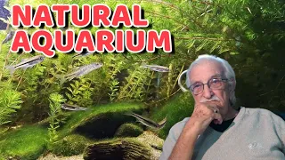 Create a WILD Aquarium With Help from the Natural World