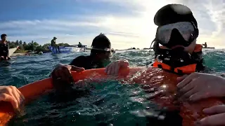 BOHOL WHALESHARK TOUR