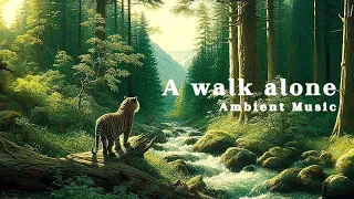 【Ambient Music】A walk alone - Sleep/Meditate/Relax -Soothing Sounds for Your Peace of Mind