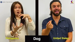 Filipino Sign Language (FSL) & American Sign Language (ASL)