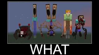 Compilation Scary Moments part 8 - wait what meme in Minecraft