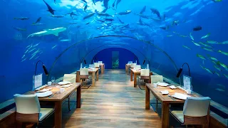 11 Craziest Restaurants That Actually Exist